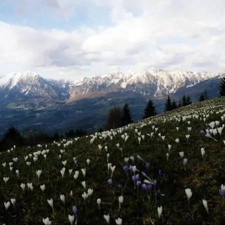 Da C I S A Frühstückspension