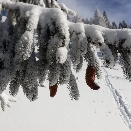 Da C I S A 3* Tambre dʼAlpago