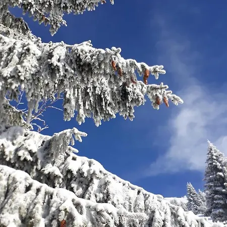 Frühstückspension Da C I S A Tambre dʼAlpago