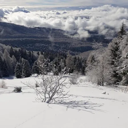 Bed and Breakfast Da C I S A