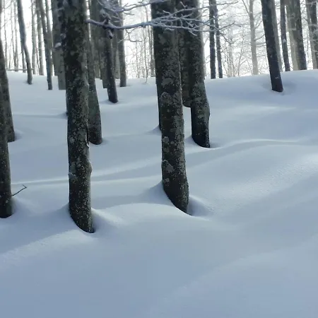 Da C I S A Bed and Breakfast 3*