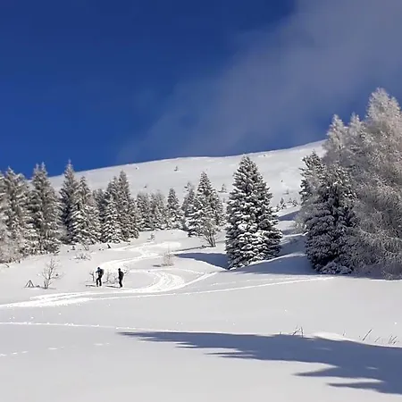 Da C I S A Отель типа 
