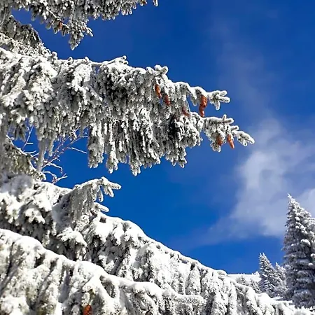 Da C I S A Oda ve Kahvaltı Tambre dʼAlpago